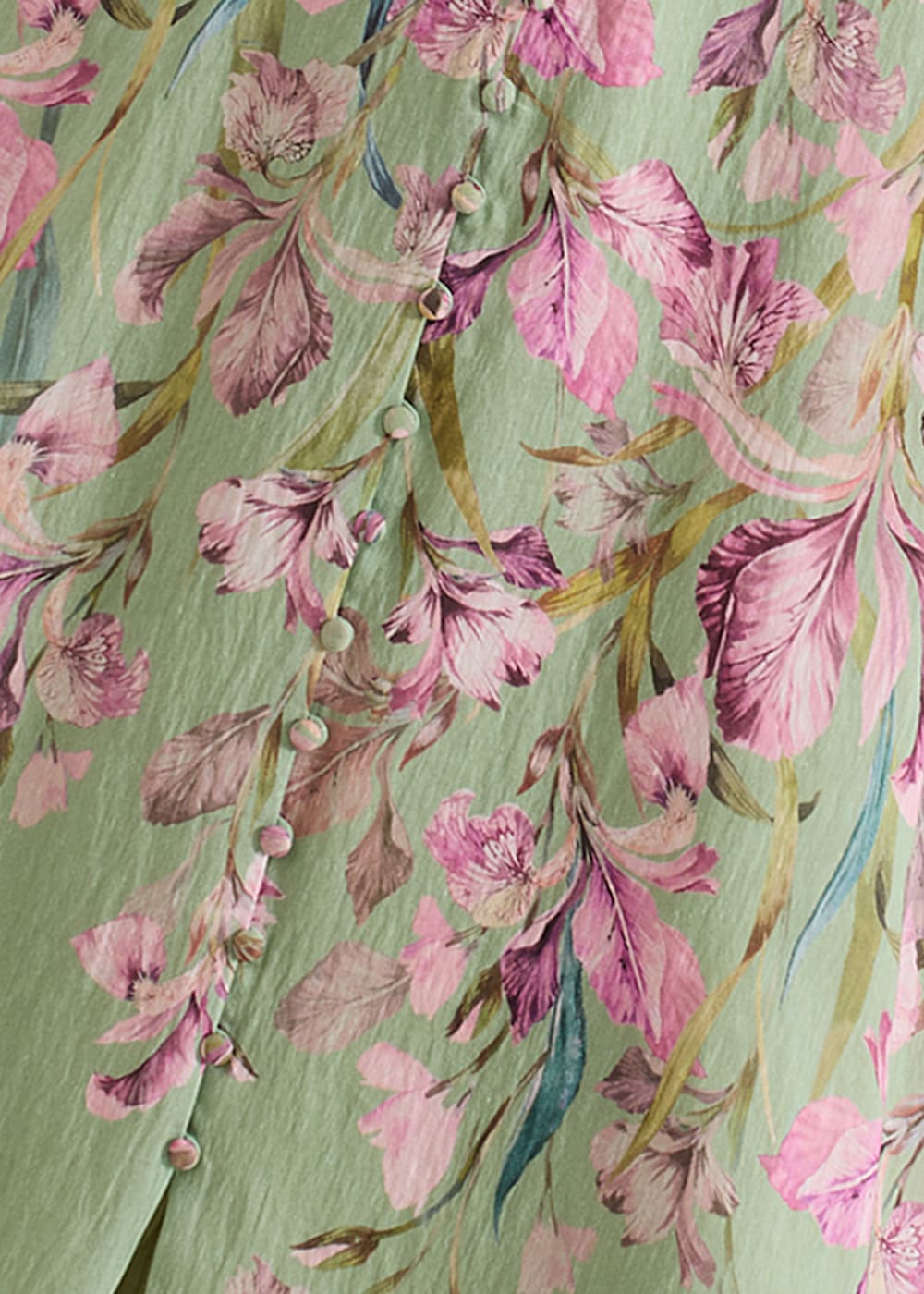 Phase Eight Amalie Floral Midi Dress