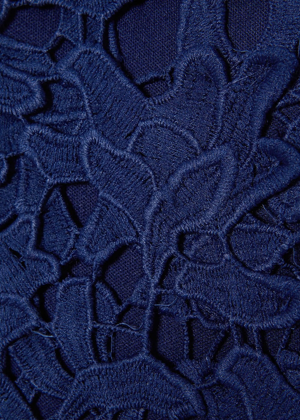 Phase eight petals lace dress online