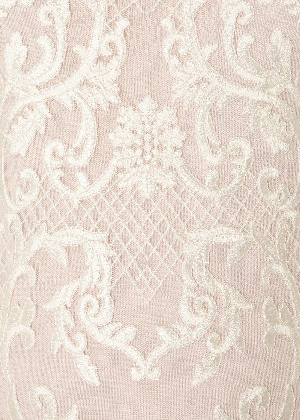 Tatiana Embroidered Dress Phase Eight UK