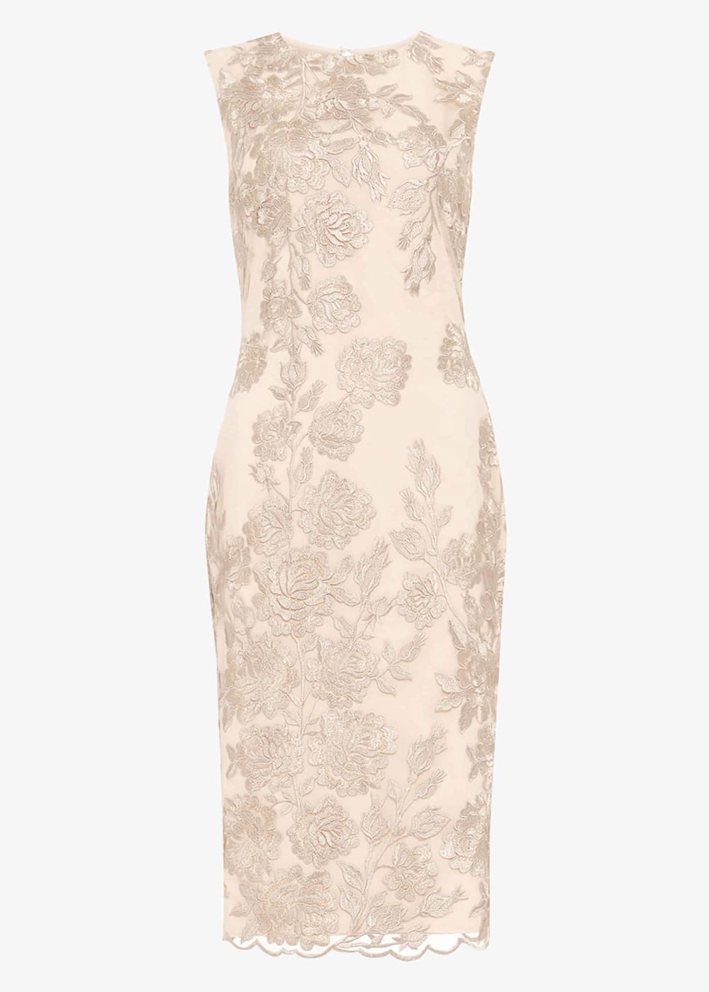 Rhea Lace Floral Dress Phase Eight UK