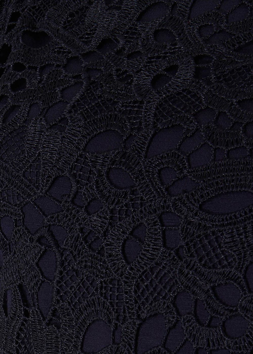 Phase eight peggy lace dress clearance