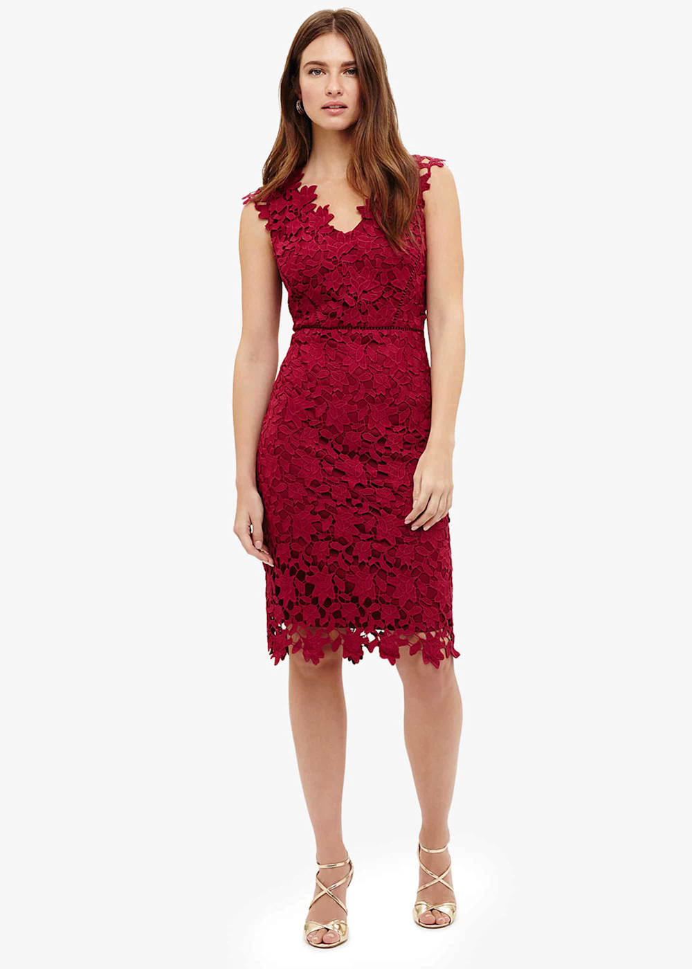 Petals Lace Dress | Phase Eight UK |