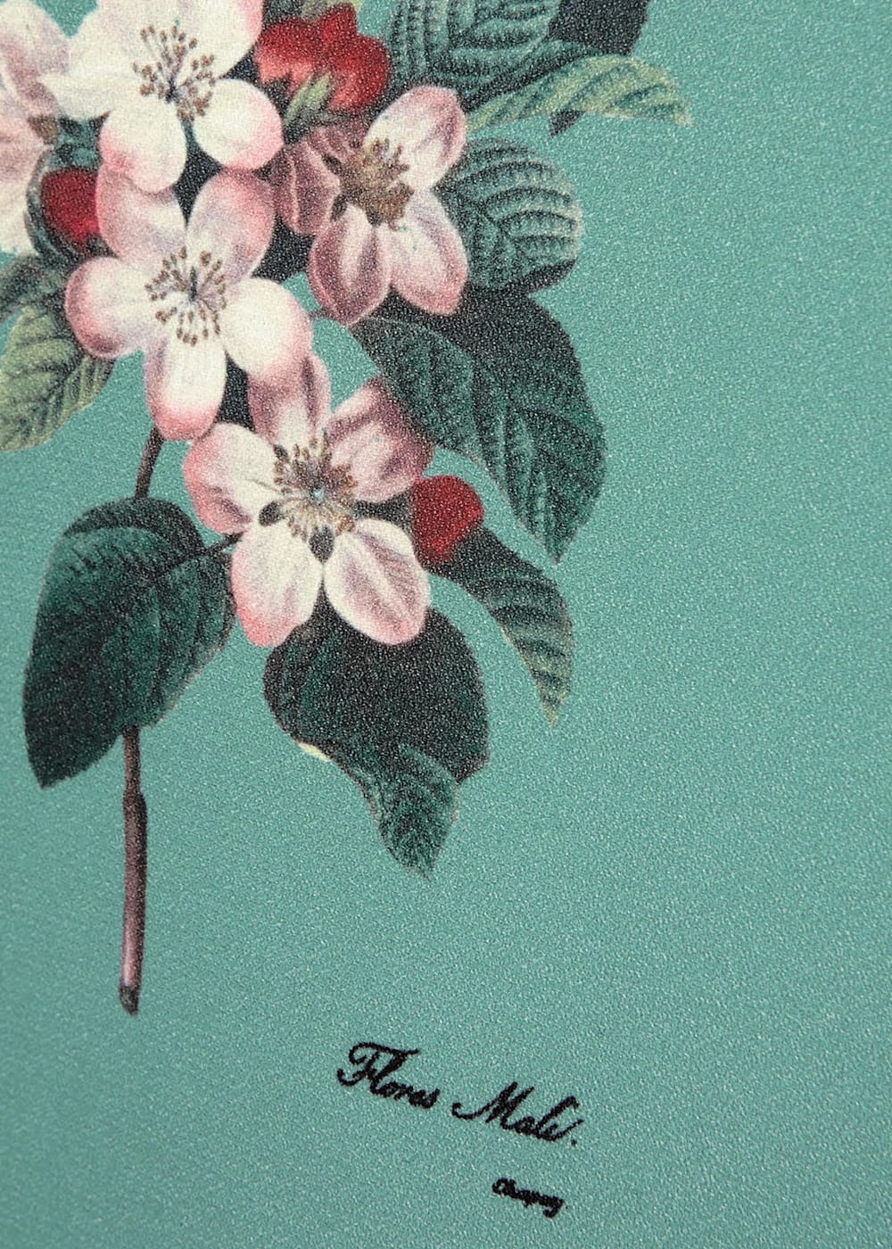 Chrissy Botanical Print Dress Phase Eight UK