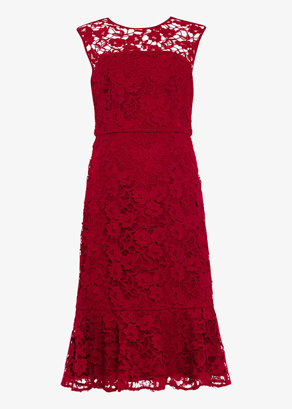 Sabby Lace Dress Phase Eight UK