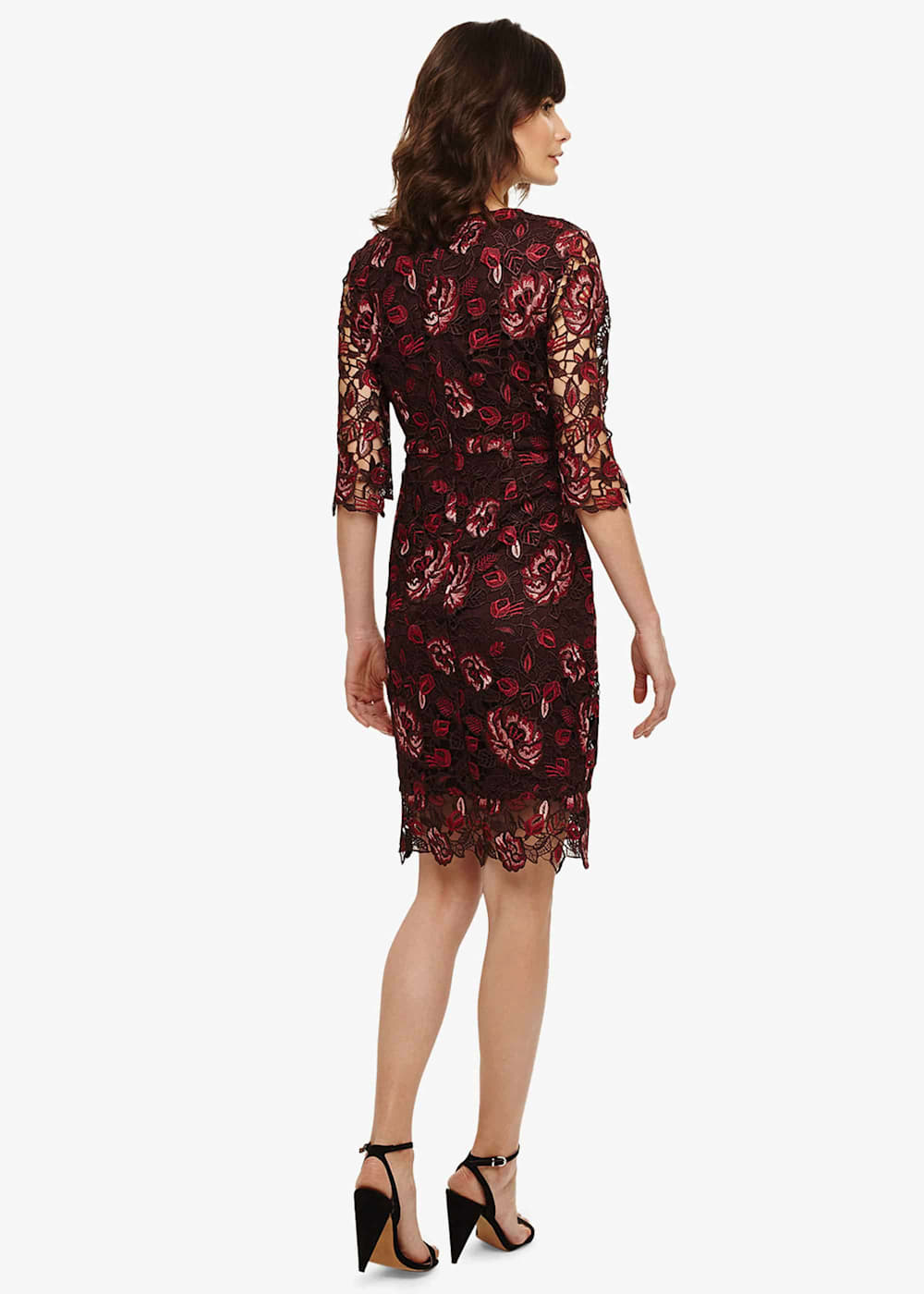 Phase eight belle lace dress store