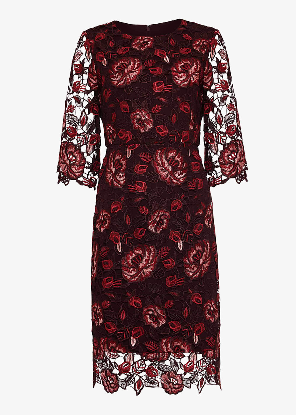 Phase eight belle lace dress claret store