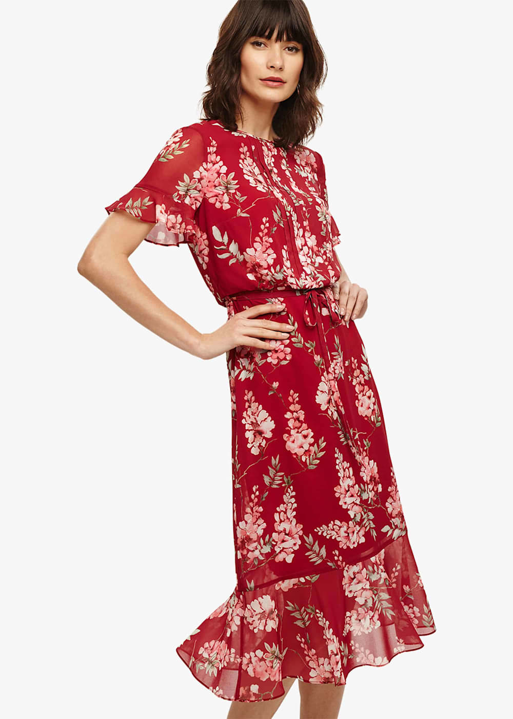 Phase eight helia floral dress store