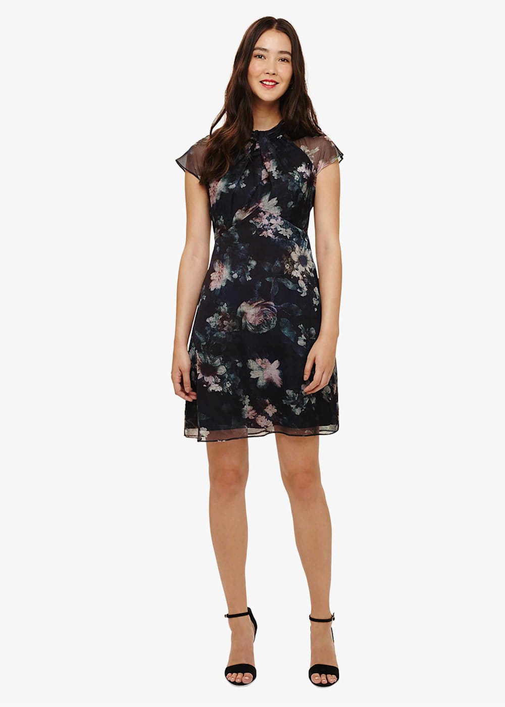 Phase eight imogen dress store
