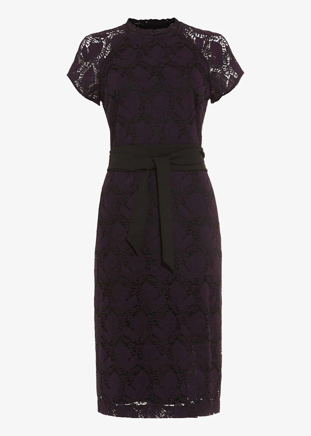Henrietta Lace Dress Phase Eight UK