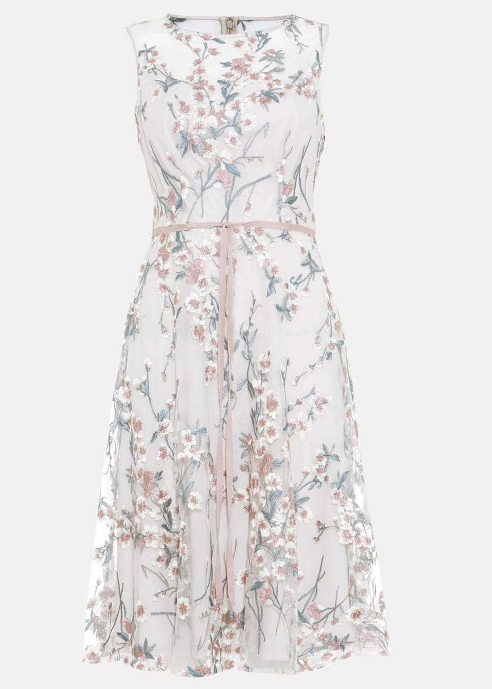 Phase eight maddie dress 2025