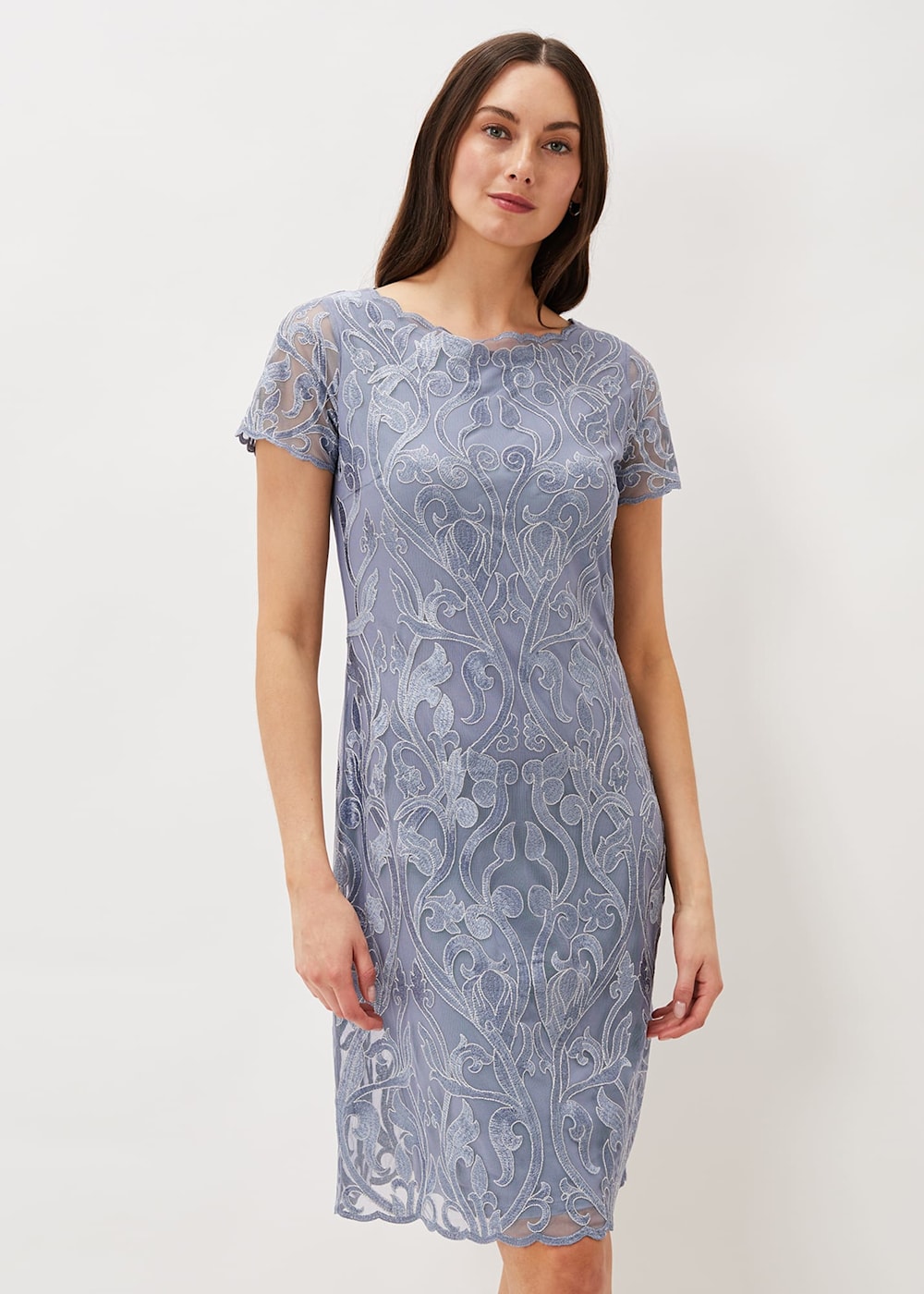 Phase eight marly embroidered dress cheap