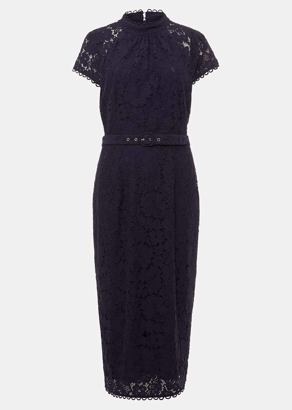 Aurora Lace Dress Phase Eight UK