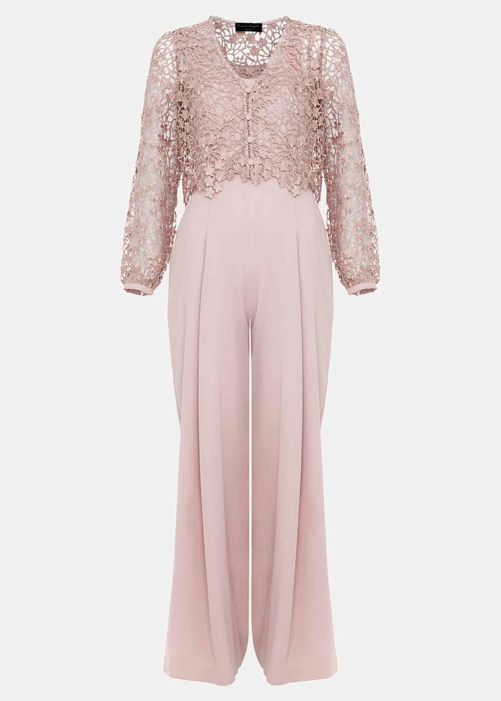 Petite lace jumpsuit cheap