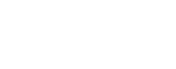 SHINE BRIGHT