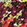 Multi