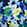 Blue/Multi