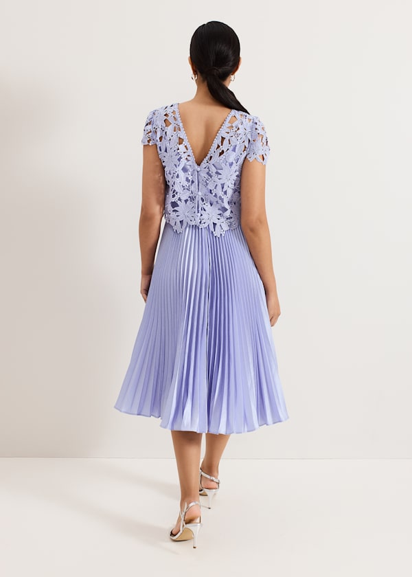 Petite Dana Dress