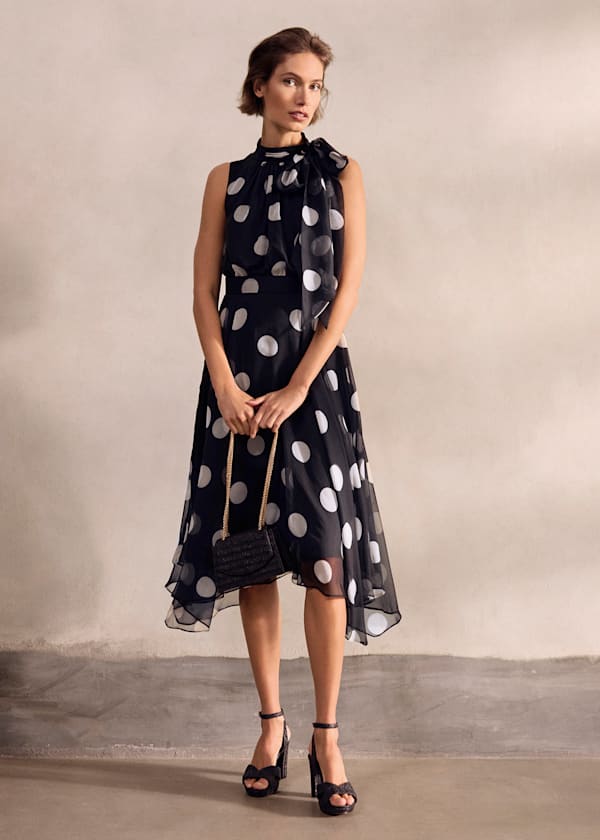 Lucinda Spot Dress