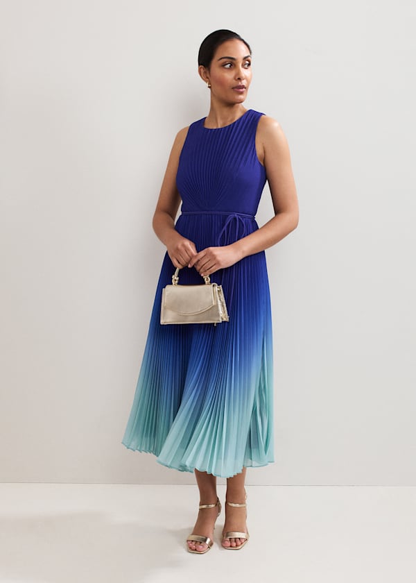 Petite Simara Dress