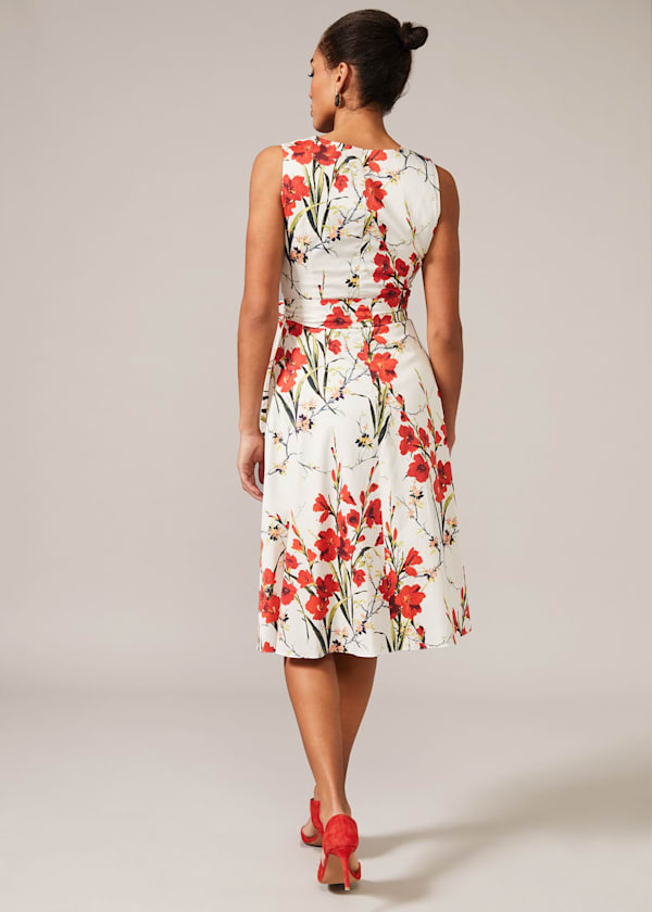Sofia Floral Cotton Dress