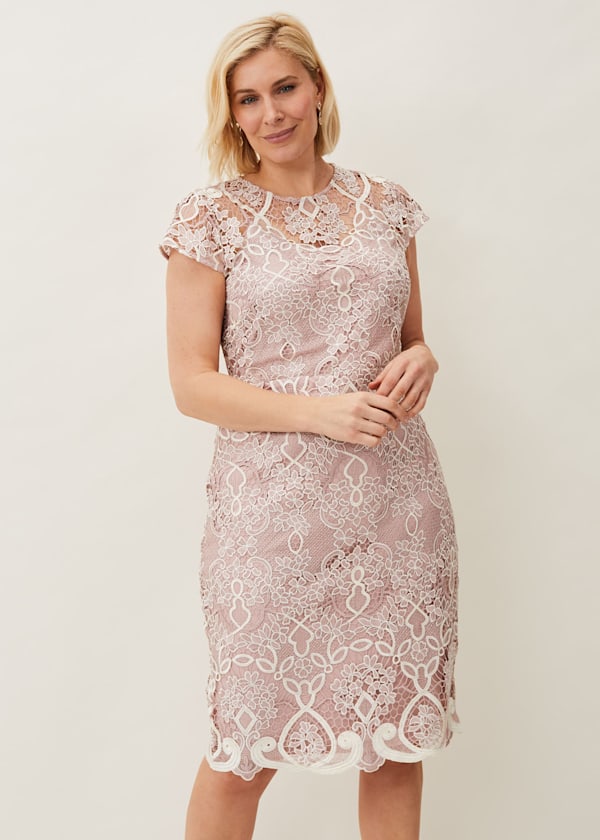 Frances Lace Fitted Dress