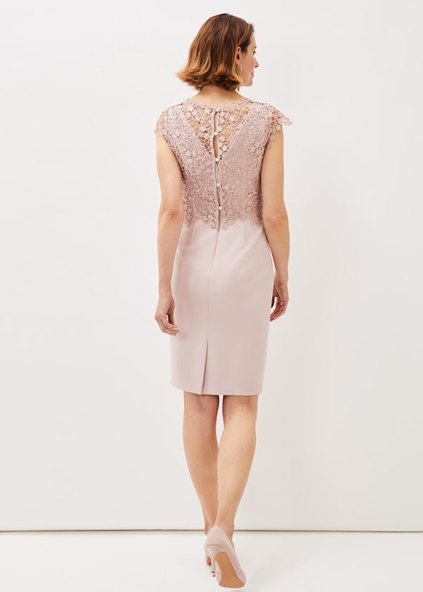 Mariposa Floral Lace Bodice Dress