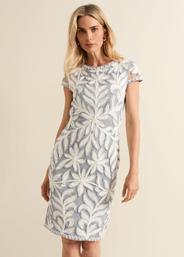 Phase eight fran lace dress top