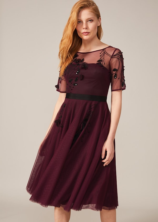 Felicia Embroidered Tulle Dress