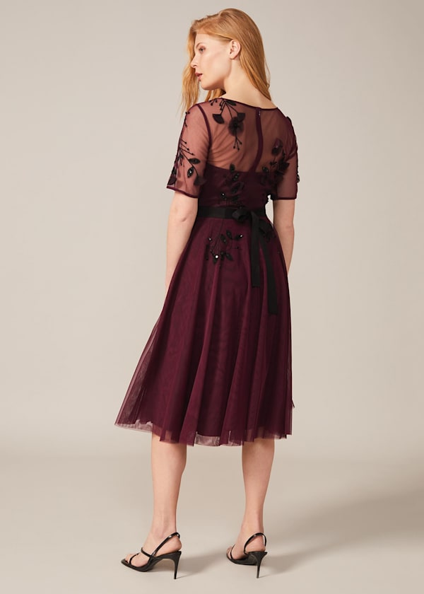 Felicia Embroidered Tulle Dress