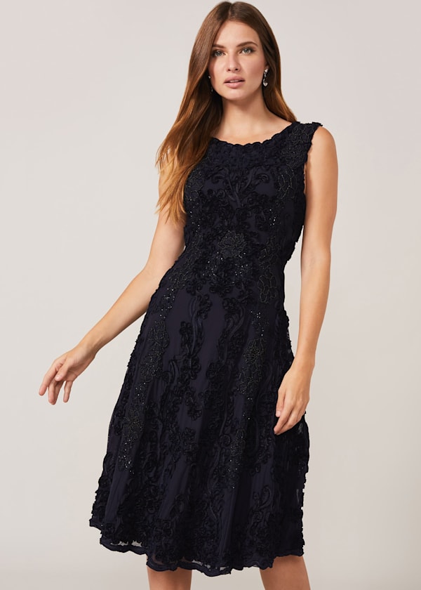 Penelope Tapework Lace Fit And Flare Dress