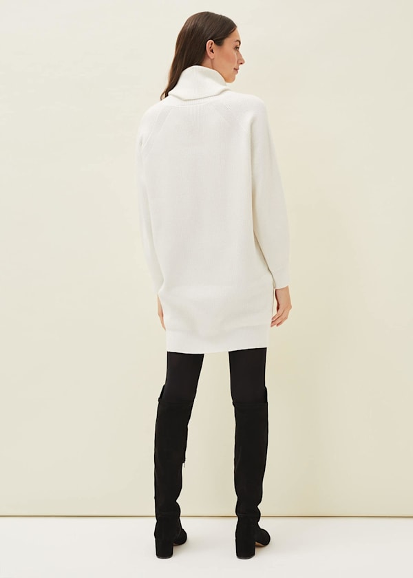Nisha Roll Neck Jumper Dress