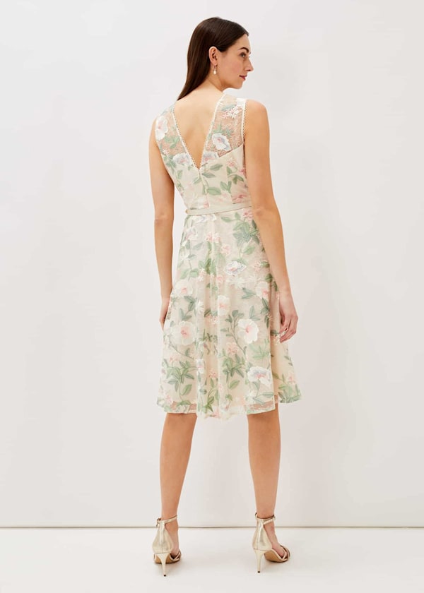 Aria Embroidered Lace Fit & Flare Dress
