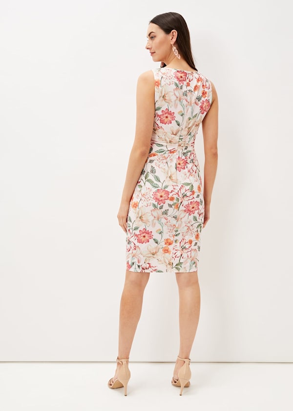 Larna Blush Jackie Dress