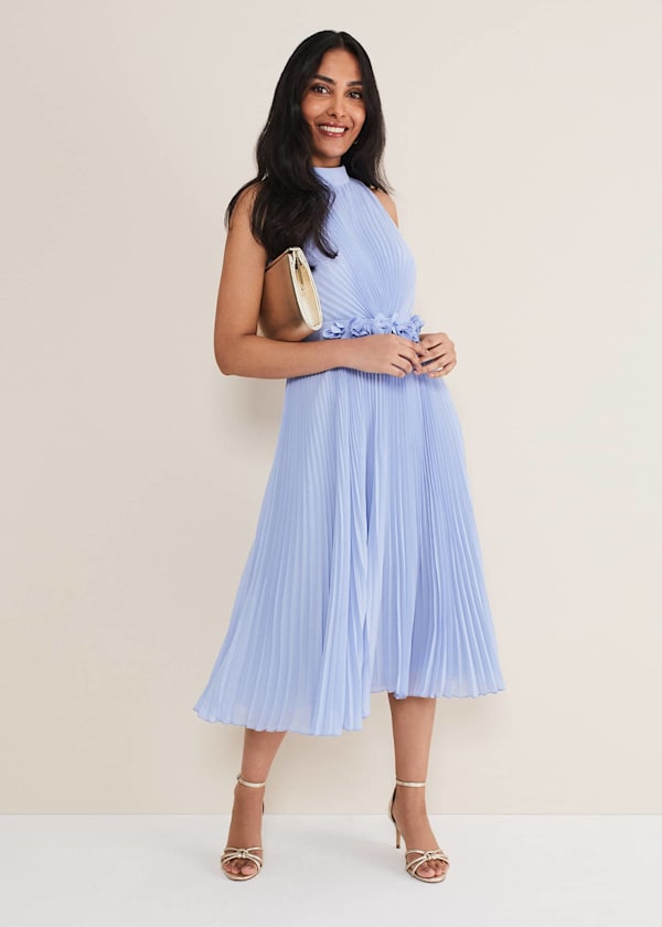 Petite Simara Pleated Midi Dress