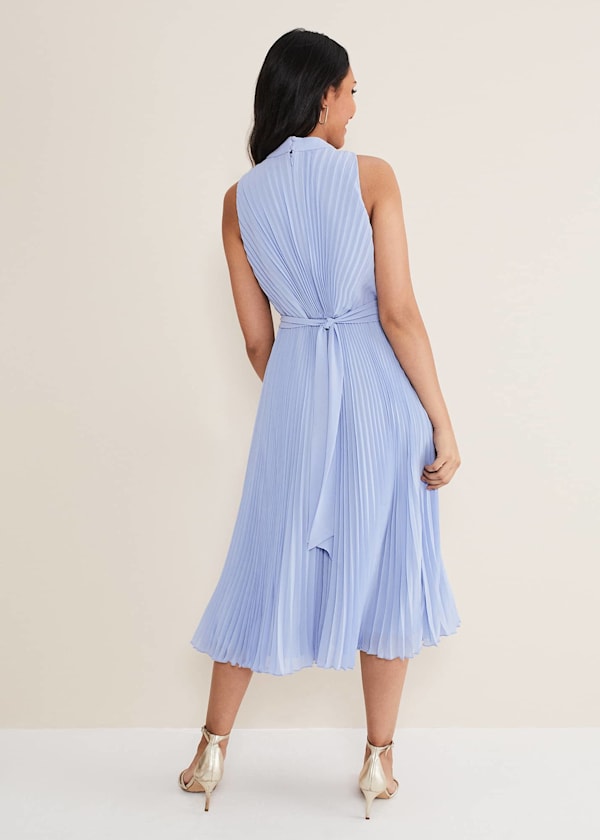 Petite Simara Pleated Midi Dress