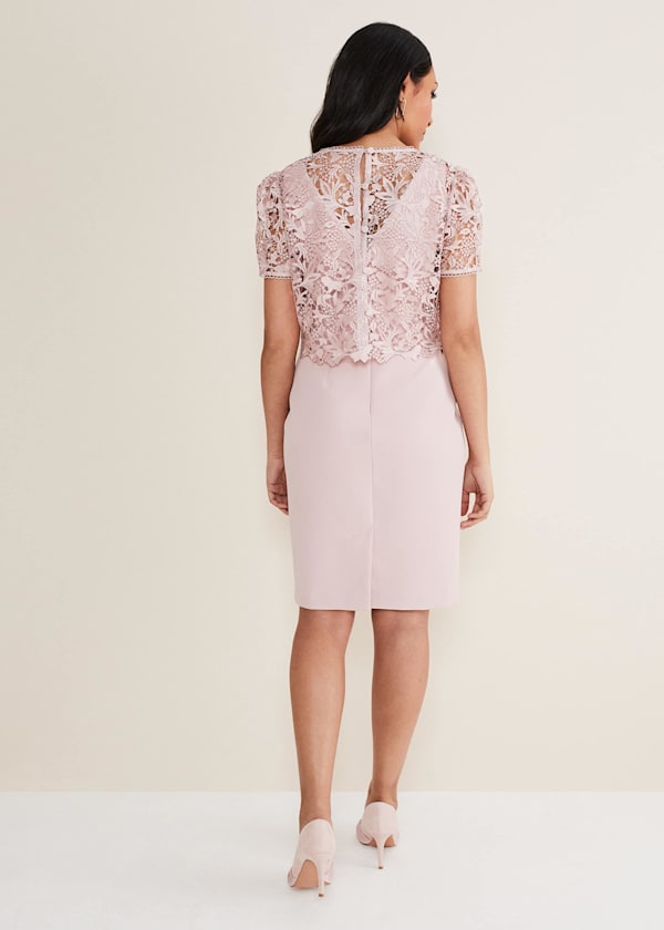 Petite Isabella Lace Midi Dress