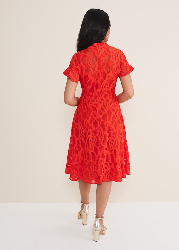 Petite Lulu Lace Midi Dress