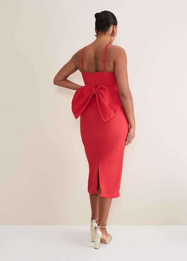 Sherani Bodycon Midi Dress