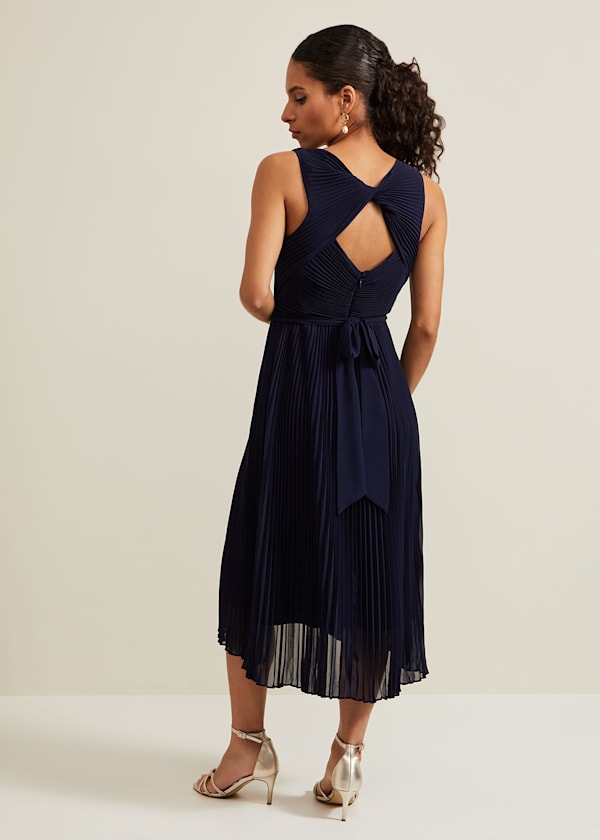 Petite Cressida Pleat Maxi Dress