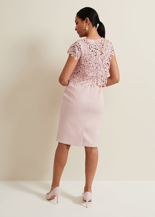 Petite Daisy Lace Midi Dress
