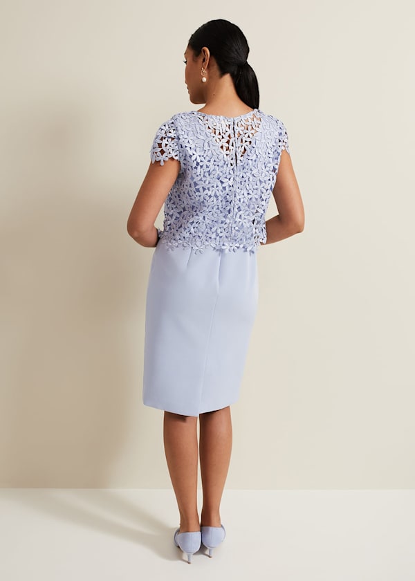 Petite Daisy Lace Double Layer Dress