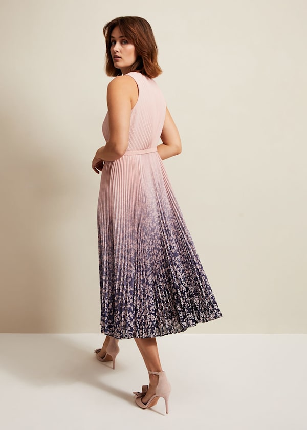 Simara Printed Midi Dress