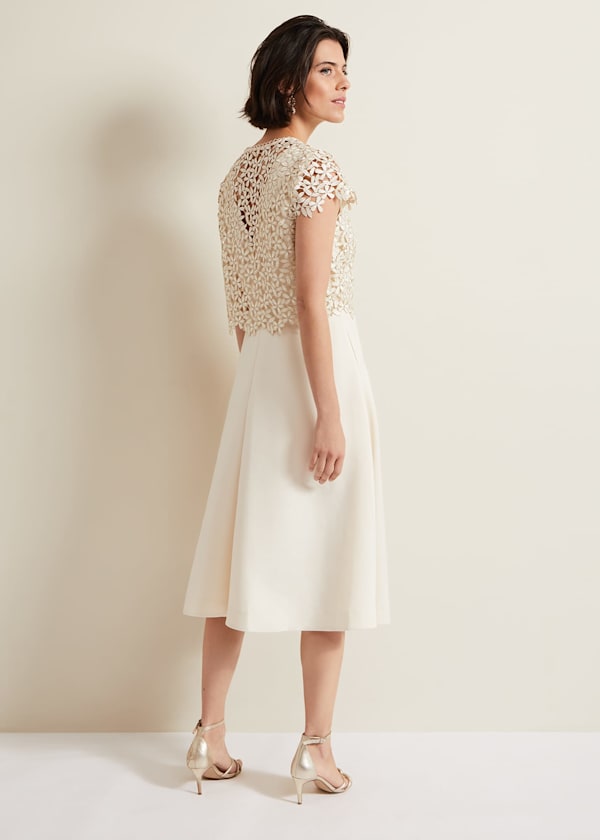 Maxine Lace Fit And Flare Dress
