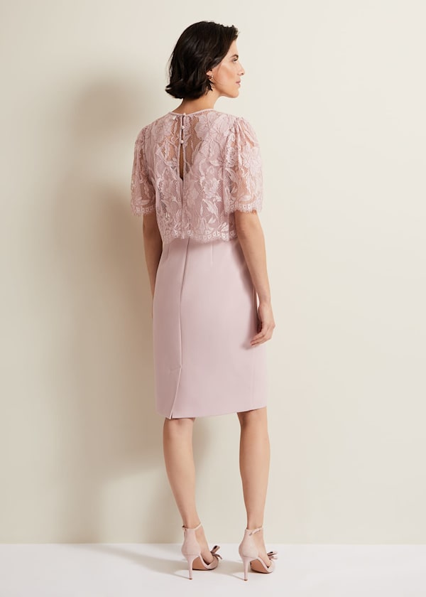 Pink Dresses Pink Occasion Dresses Phase Eight Phase Eight UK