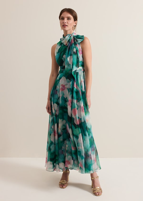 Petite Lucinda Chiffon Print Maxi Dress