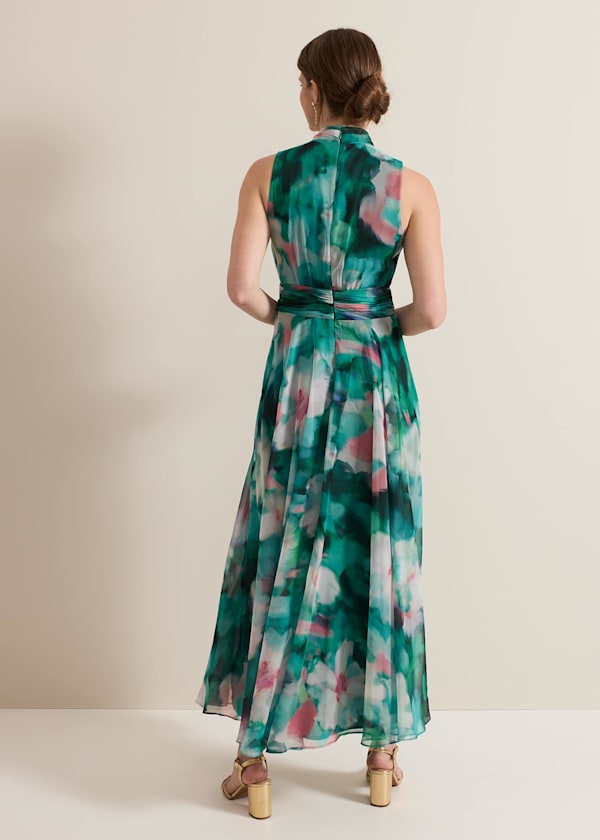 Petite Lucinda Chiffon Print Maxi Dress