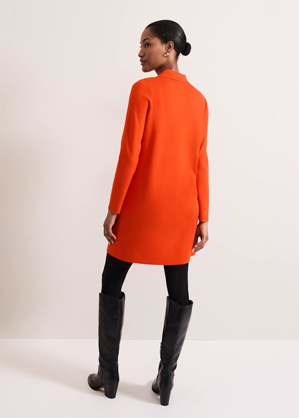Azealia Fine Knit Collared Tunic Dress