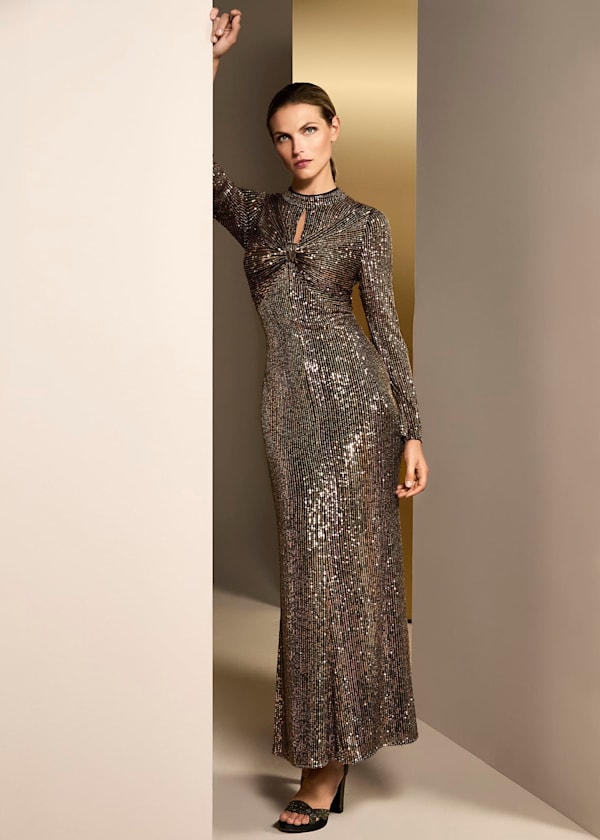 Renila Sequin Long Sleeved Maxi Dress