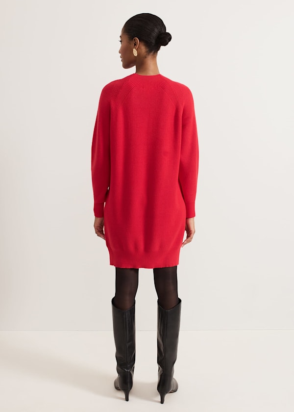 Eliana Jumper Dress