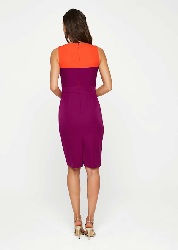 Vida Colourblock Fitted Dress